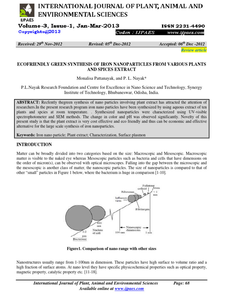 Ecofriendly Green Synthesis of Iron Nanoparticles From Various Plants ...