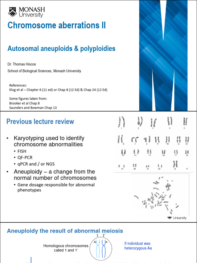 Autosomal Aneuploidies and Polyploidies | PDF | Ploidy | Meiosis