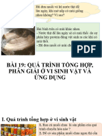 Bai 19 Tong Hop Va Phan Giai Cac Chat o VSV