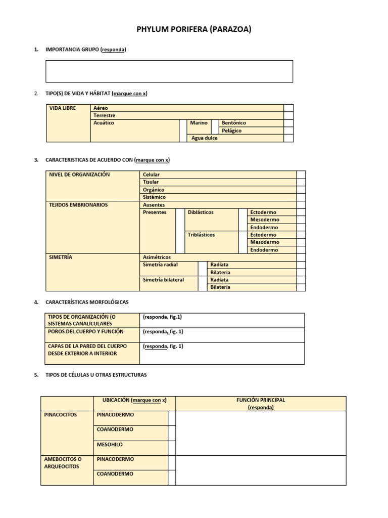 Gu C3 ADa de Apoyo Lectura Phylum Porifera | PDF | Esponja | Zoología
