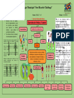 John Rivera 3a Educacion Fisica Mapa Conceptual de Los Ejercicios de Orden y Control