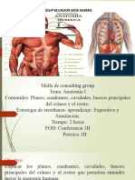 Anatomía I