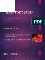 hematopoyesis