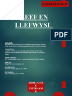 Leef en Leefwyse