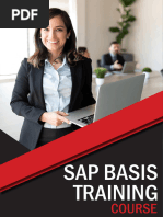 Sap bASIS