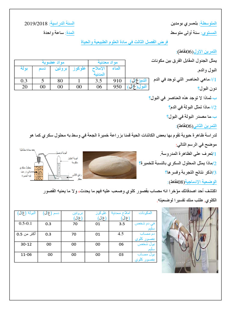 Dzexams 1am Sciences 153838 PDF