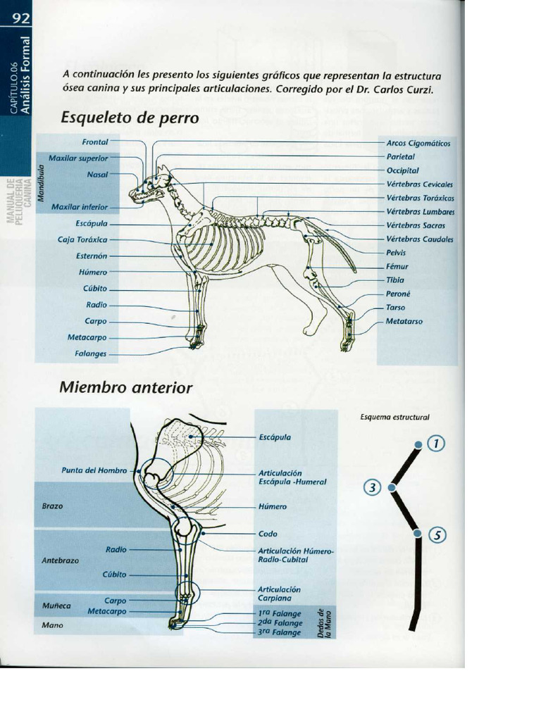 Scan 005 | PDF