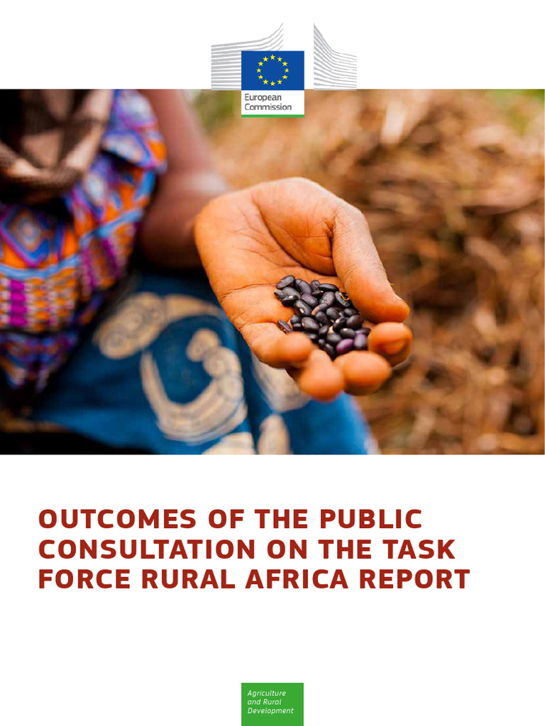 Outcomes of The Public Consultation On The Task Force Rural Africa ...