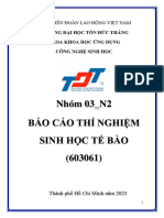 Báo cáo thí nghiệm sinh học tế bào nhóm 03_N2