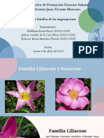 Exposición Familia de Angiospermas, Juleisy Rolaine y Eddilania