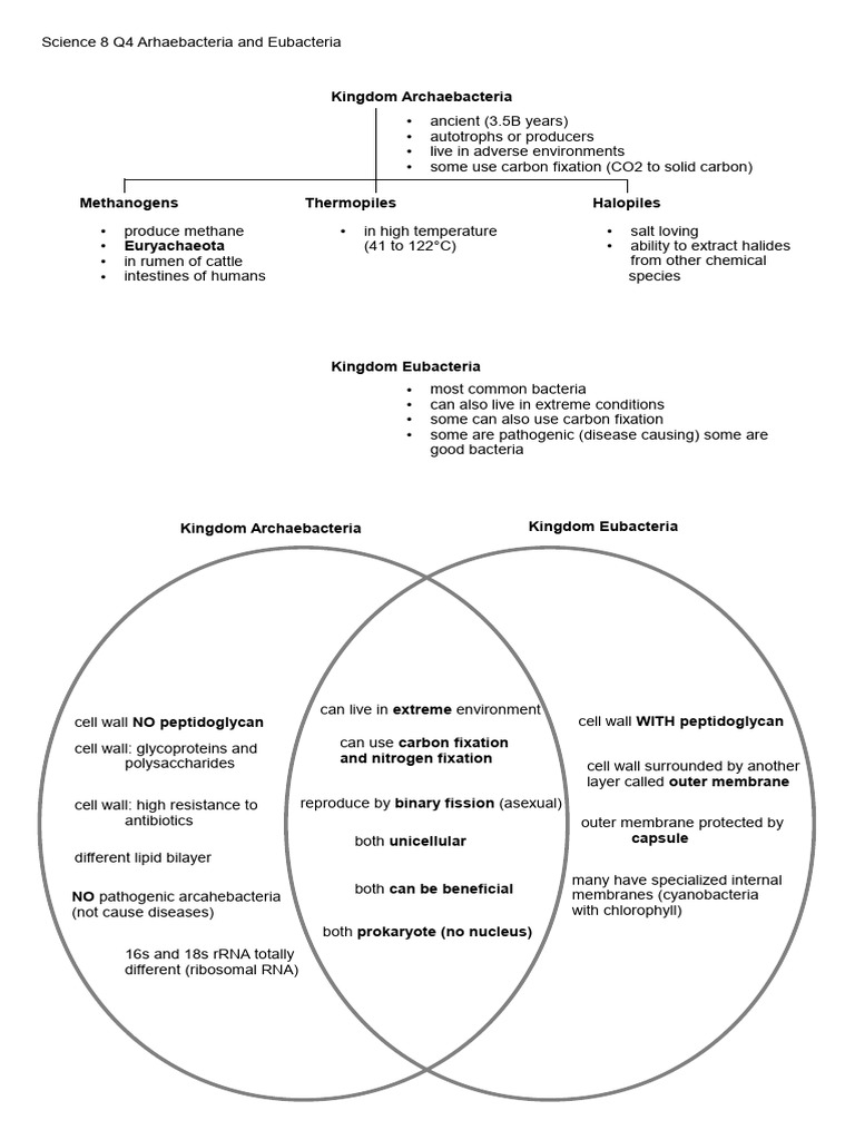 Archaebacteria vs Eubacteria Explained | PDF | Archaea | Bacteria