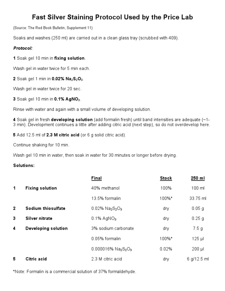 Fast Silver Staining Protocol Guide | PDF