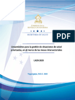 Lineamientos para La Gestión de Situaciones de Salud Priorizadas en El Marco de Las Mesas Intersectori