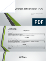 Biologie Polymerase Ketten Reaktion Presentation