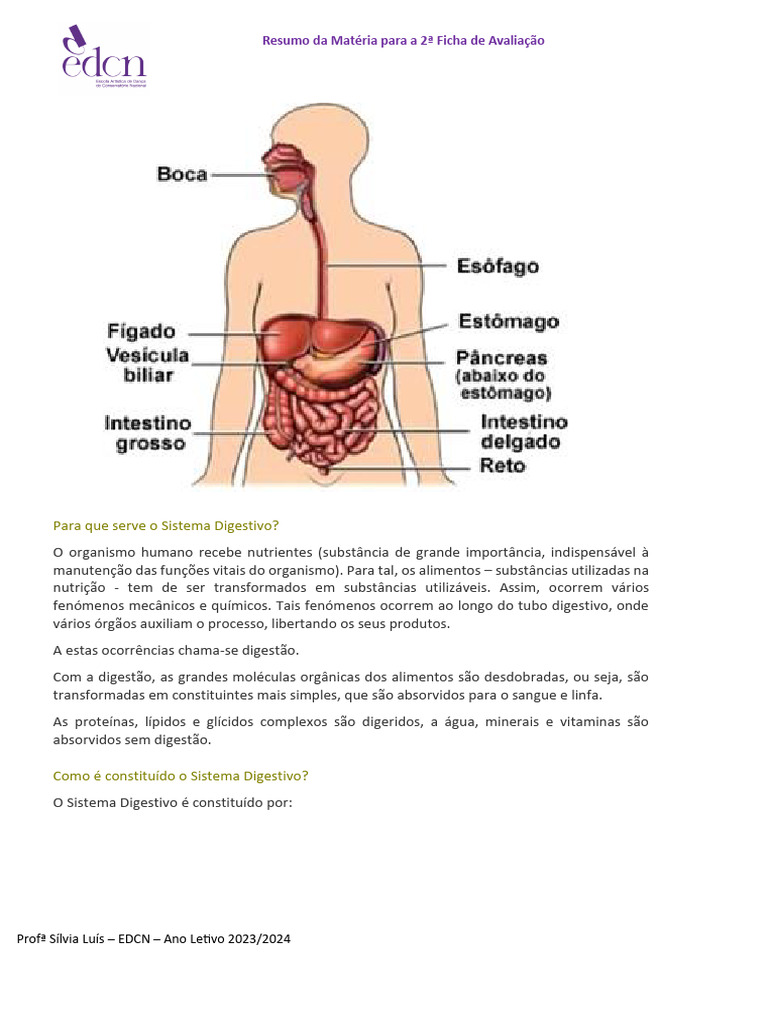 Estrutura e Função do Sistema Digestivo | PDF | Digestão | Trato ...