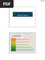 Codetantra Exam Setup Guide | PDF | Safari (Web Browser) | Mobile App
