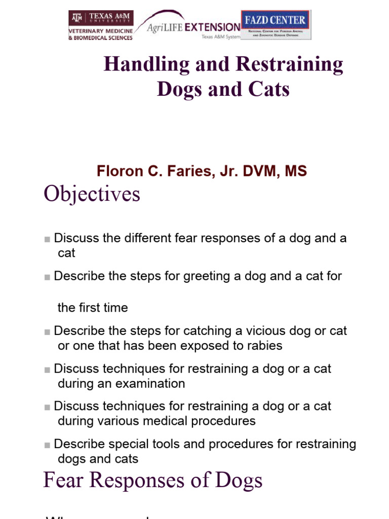 Dog and Cat Restraint Techniques | PDF | Cats | Hand
