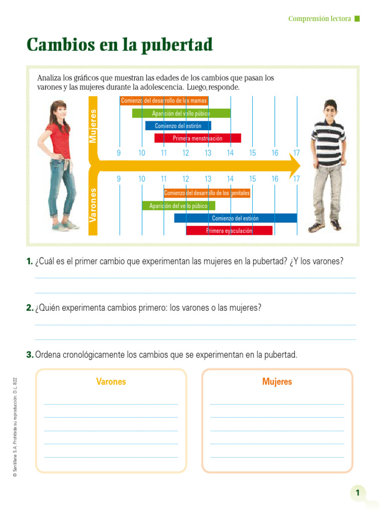 Cambios en la Pubertad: Varones y Mujeres | PDF | Pubertad | Adolescencia