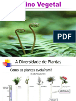 Plantas 2