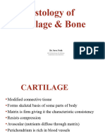 Cartilage & Bone - Structure& Types