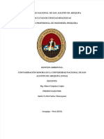 PDF Informe de Contaminacion Sonora Compress