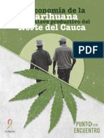 La Economía de La Marihuana en El Enclave Productivo Del Norte Del Cauca (Punto de Encuentro 81)