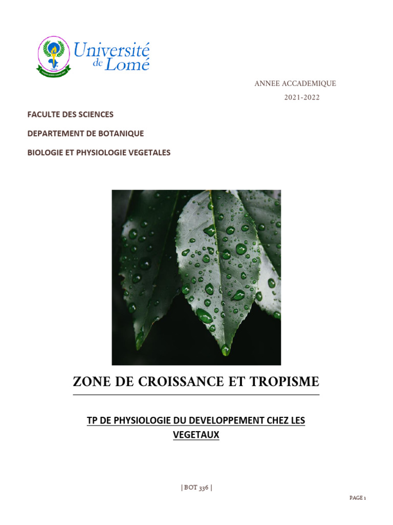 Zones de croissance et tropisme des plantes | PDF | Auxine | Racine
