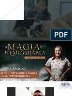 Aula 1 - Magia Do Hemograma Maio.2024