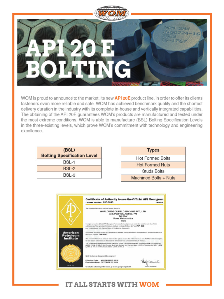 API 20 E Bolting | PDF | Screw | Nut (Hardware)