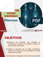 Fisiología Endócrina - Pancreas