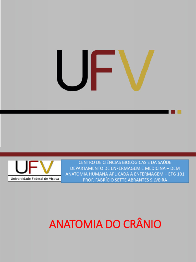 Anatomia Do Crânio E Fraturas Clínicas Pdf Bem Estar