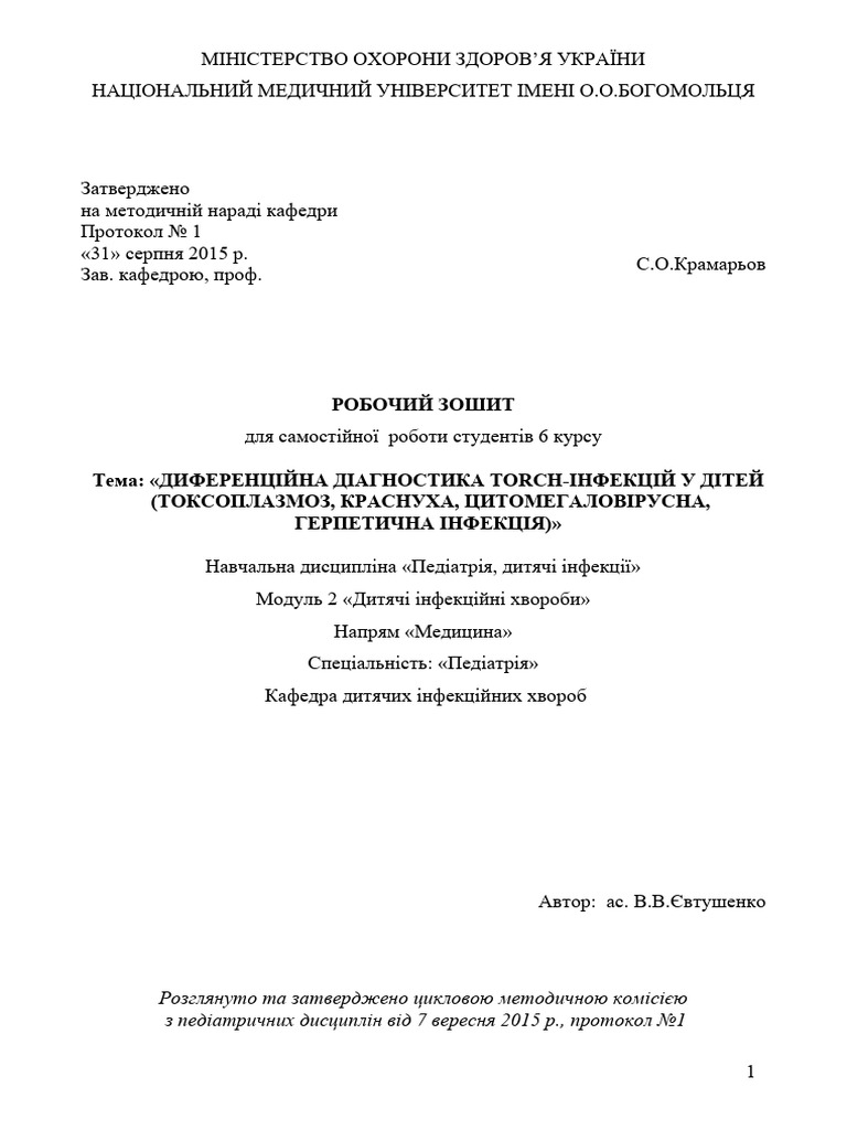 Torch | PDF
