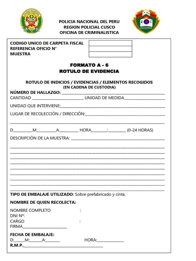 Formato A-6 | PDF | Finanzas y dinero | Ciencias sociales