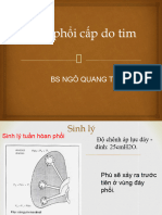 Phù Phoi Cap 2023