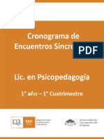 Cronograma Cuatrimestral