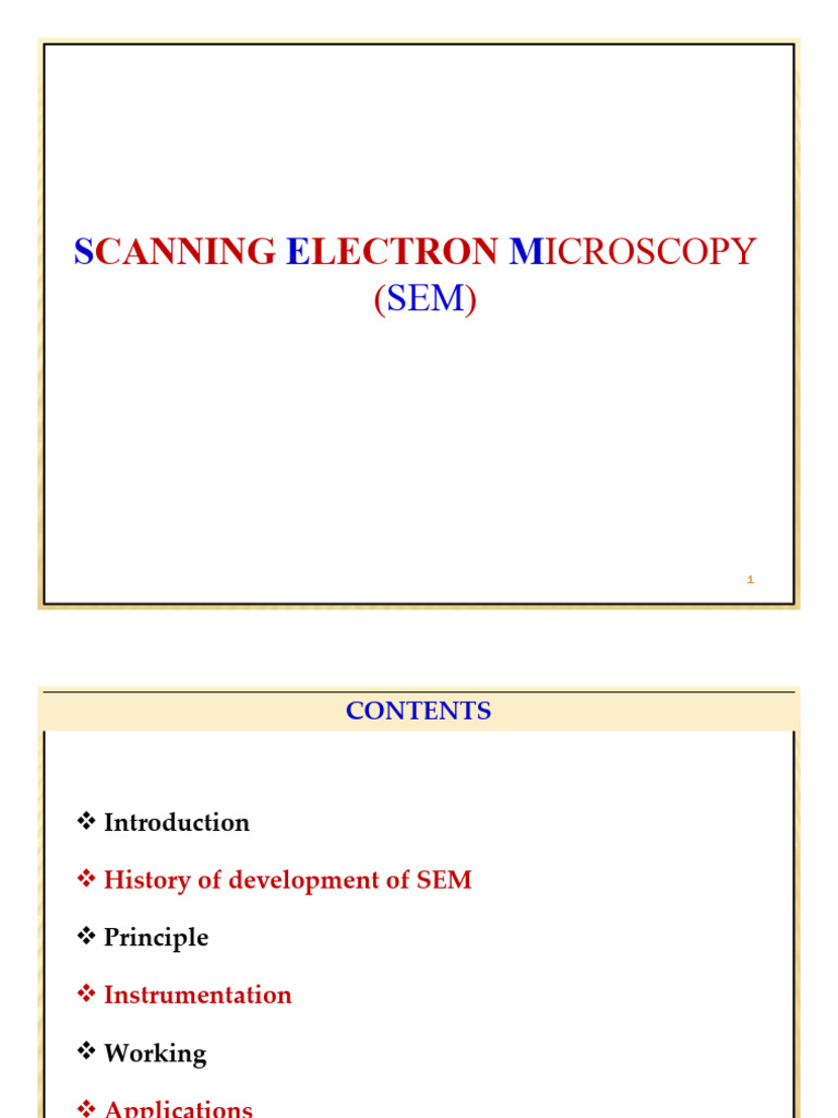 1504 159 578 Sem D | PDF | Scanning Electron Microscope | Microscope