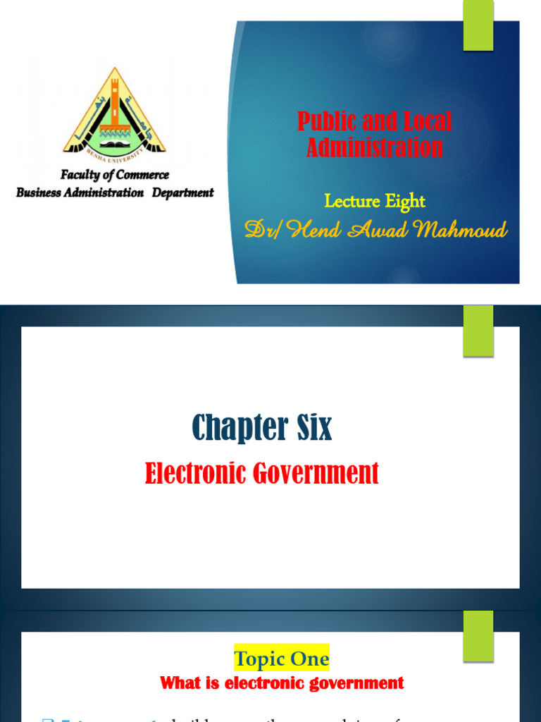 Understanding Electronic Government | PDF | E Government | Governance
