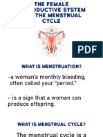 The Female Reproductive System and The Menstrual Cycle