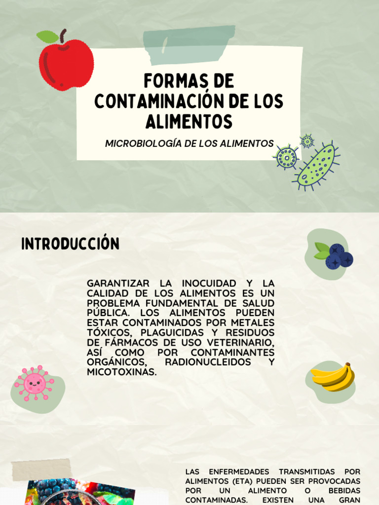 Formas de Contaminación de Los Alimentos | PDF | Alimentos | Contaminación
