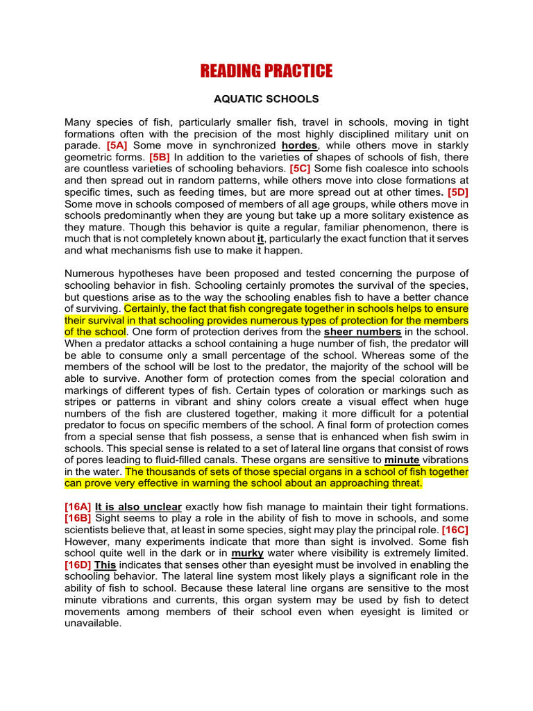 Reading Practice 2 | PDF | Fish | Visual Perception