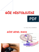 Göz Histolojisi 2023-2024-Dis Hekimligi