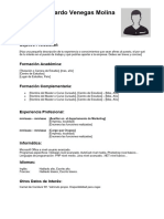 Curriculum Vitae Cronologico