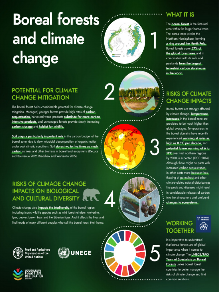 Boreal Forests and Climate Change Risks | PDF | Forests | Climate Change