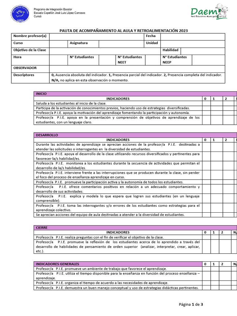 Pauta Acompañamiento Al Aula 2023-8 | PDF | Maestros | Enseñando