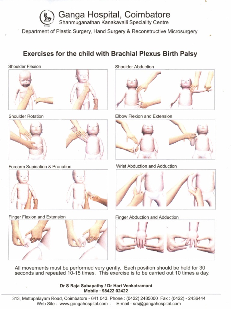 brachial-plexus-exercises-chart-pdf