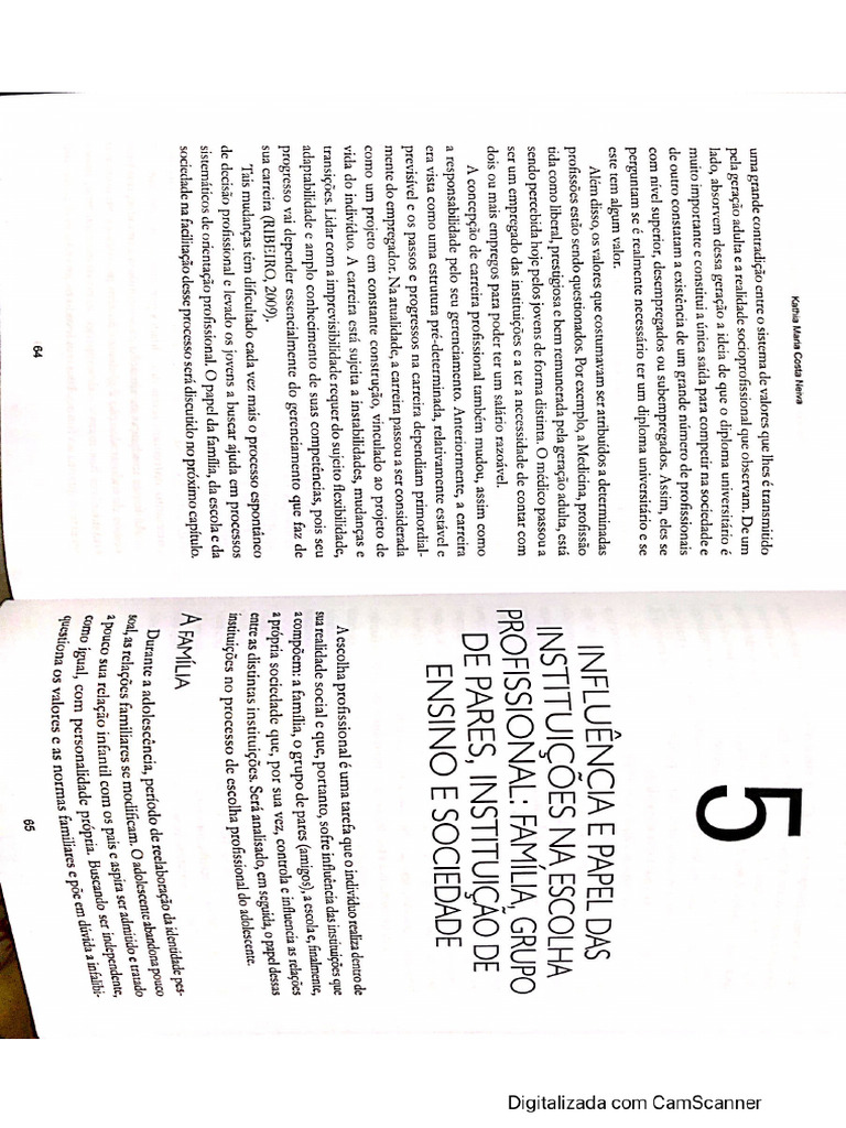 iNFLUENCIA E PAPEL DAS INSTITUIÇÕES NA ESCOLHA PROFISSIONAL | PDF