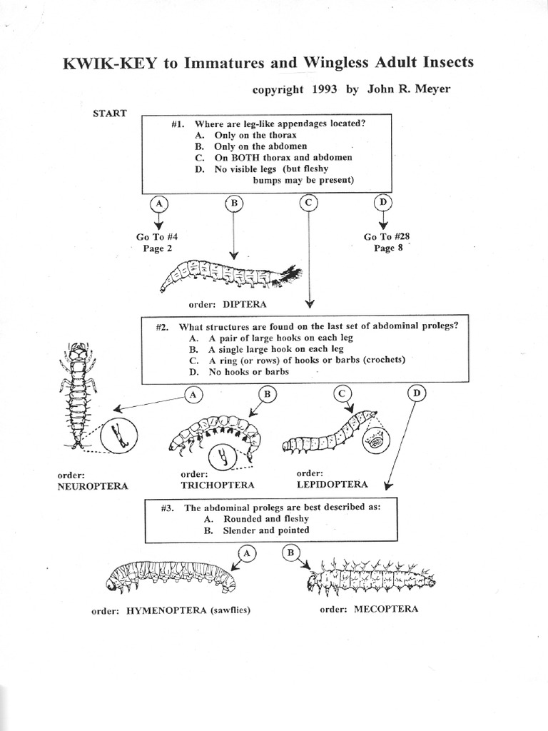 Kwik Key | PDF
