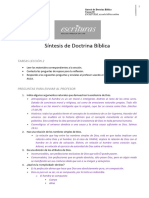 TD101 - Síntesis Doctrina Bíblica - Preguntas para Enviar Al Profesor 02