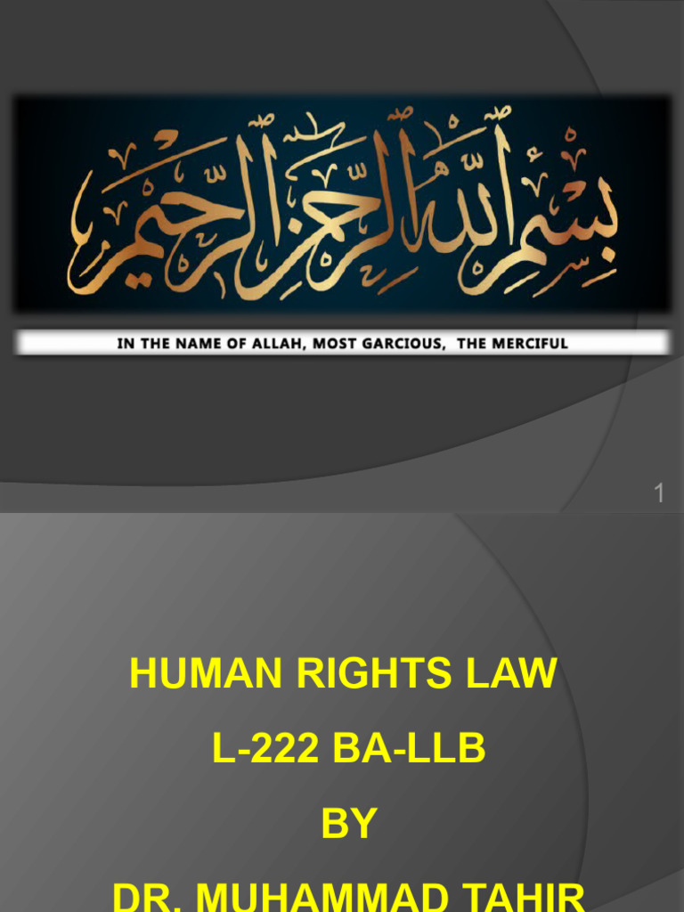 Human Rights Law Course Overview | PDF | Human Rights | International ...
