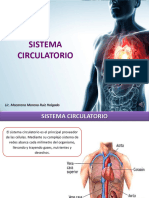 Sistema Circulatorio 2024